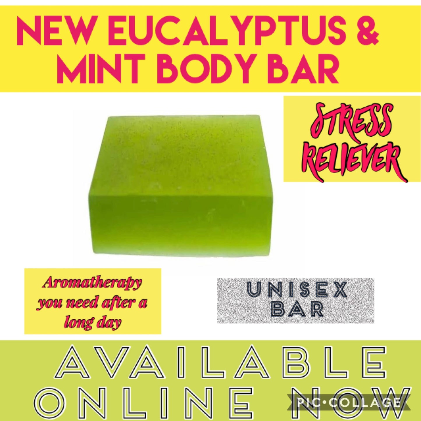 New Eucalyptus & Mint Body bar
